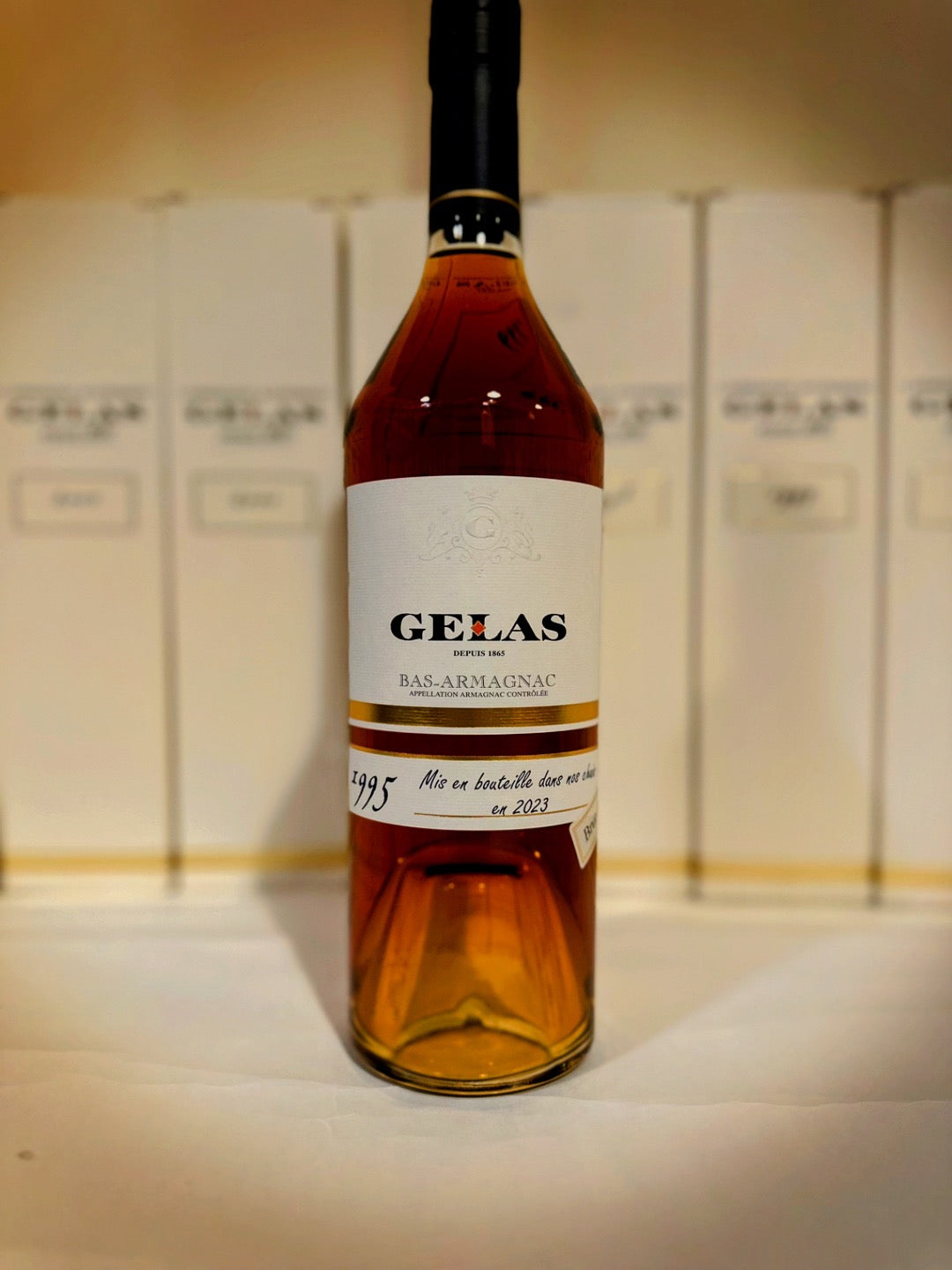 Gelas Armagnac 1995 ALC 49.2%